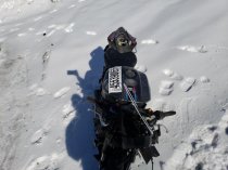 COMING SOON - 2024 Yamaha R7 - Salvage Title