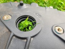 Pontiac G8 V6 - Valve Cover - Passenger Side GM Genuine 12641260